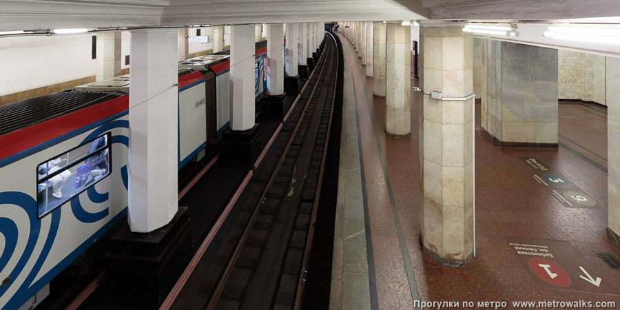 Станция Александровский сад (Филёвская линия, Москва). Вид станции с переходного мостика.