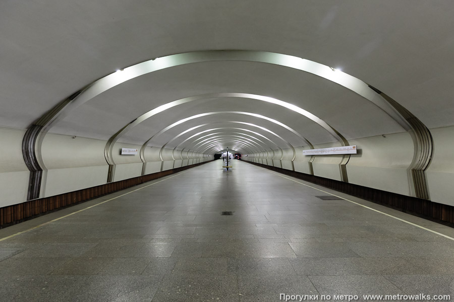 Станция Коньково (Калужско-Рижская линия, Москва). Продольный вид по оси станции.