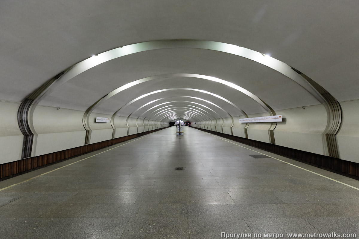 Фотография станции Коньково (Калужско-Рижская линия, Москва). Продольный вид по оси станции.